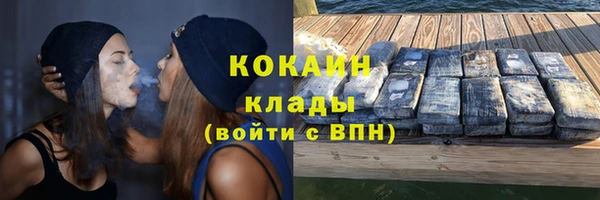 прущие грибы Балахна