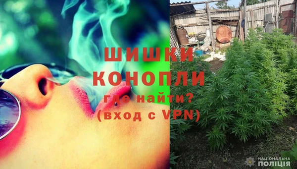 прущие грибы Балахна