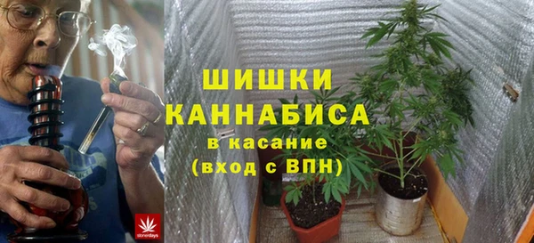 крисы Баксан
