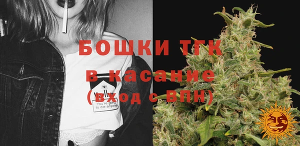 прущие грибы Балахна
