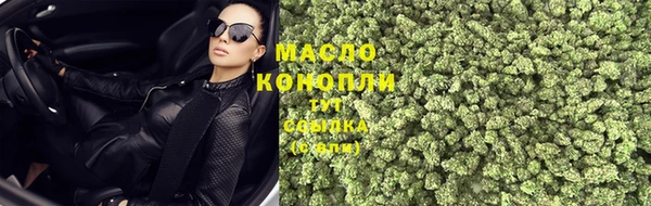 крисы Баксан