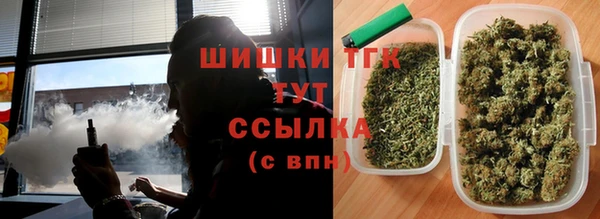 крисы Баксан