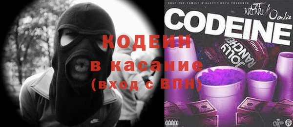 крисы Баксан