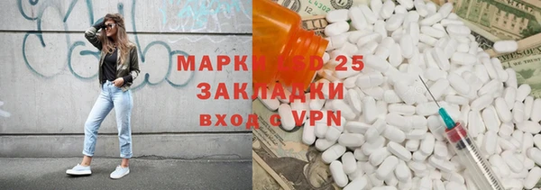 прущие грибы Балахна