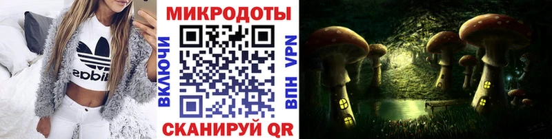 Псилоцибиновые грибы прущие грибы Кондрово